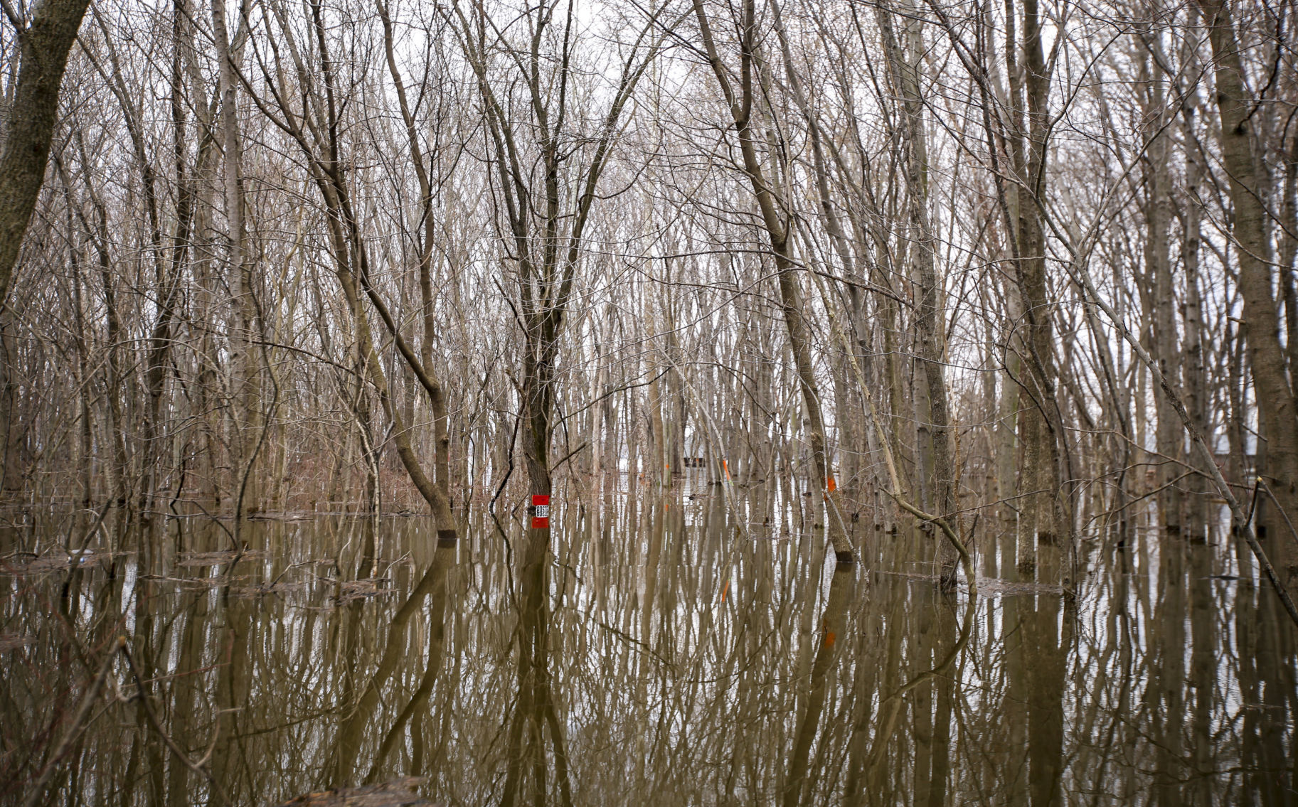 040719-qct-qca-flood-023